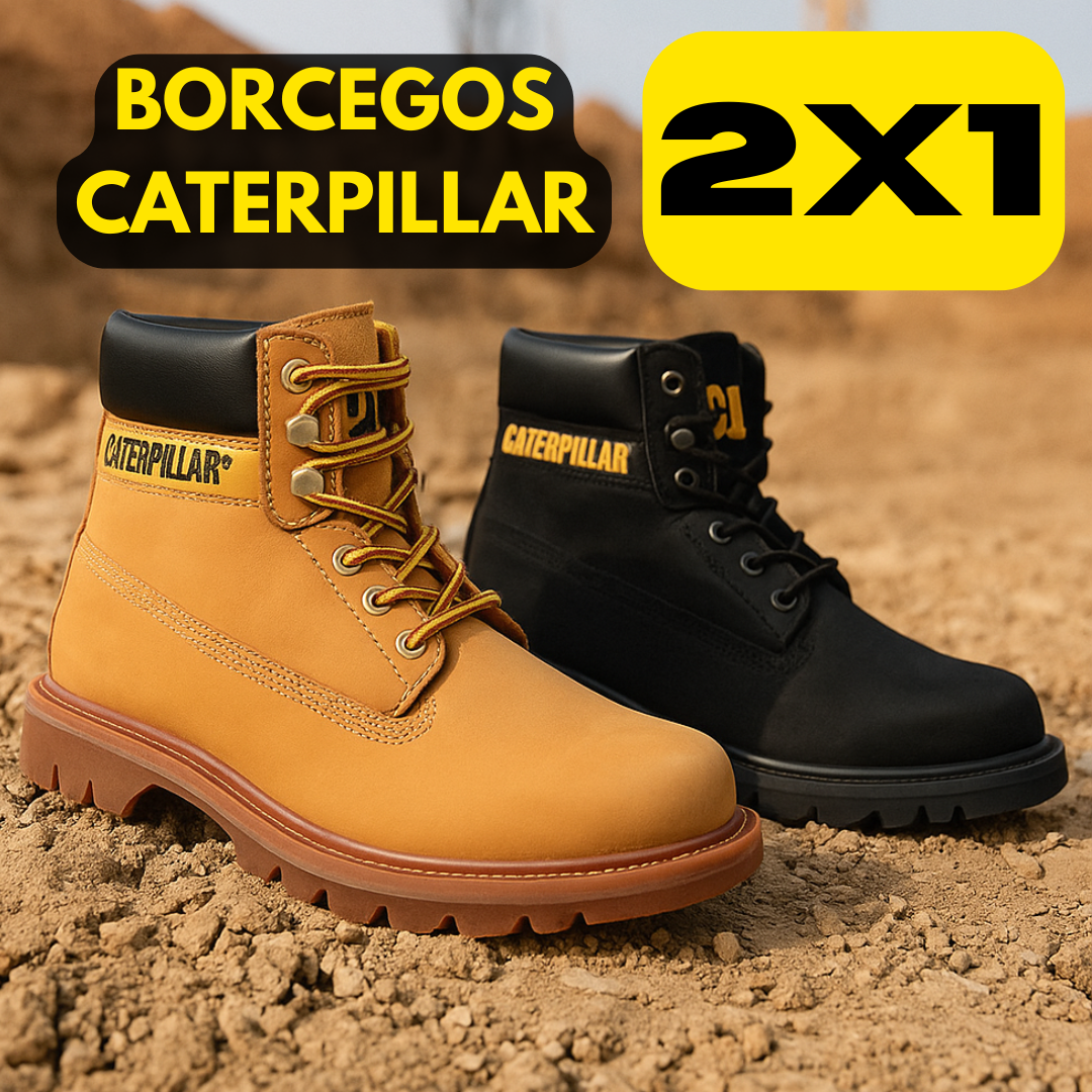 2X1 BORCEGOS CATERPILLAR
